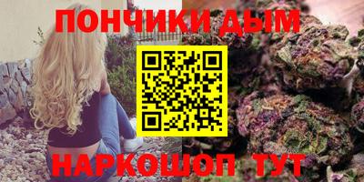 амф Можга