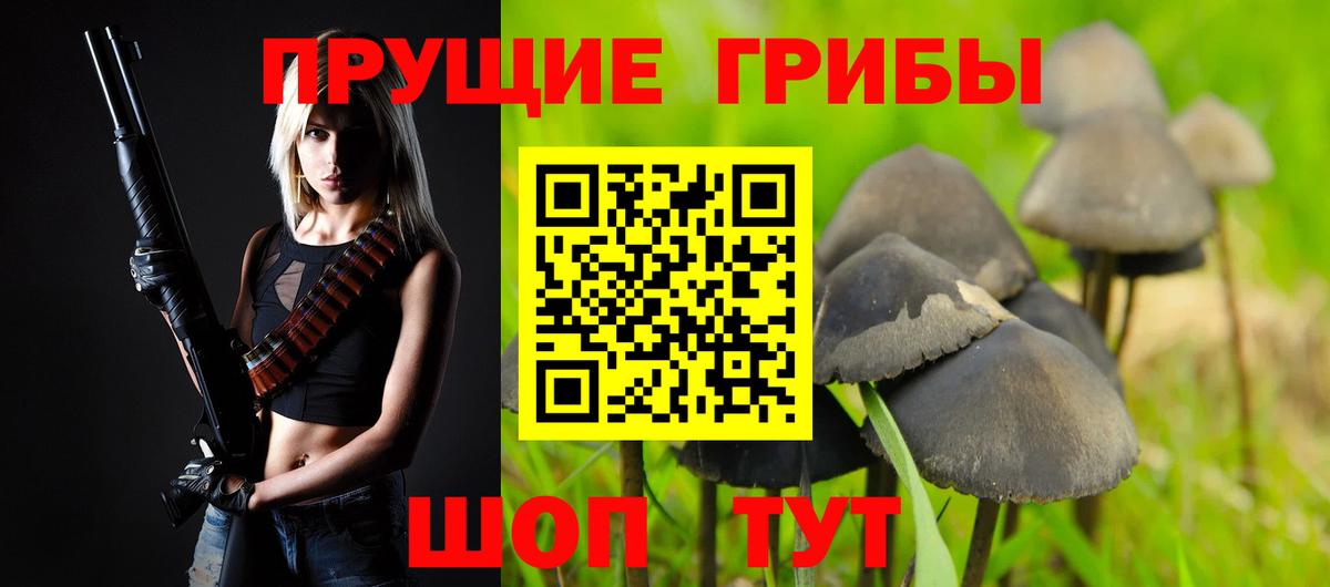 Псилоцибиновые грибы прущие грибы  Вход с VPN  Тимашёвск  Псилоцибиновые грибы GOLDEN TEACHER 